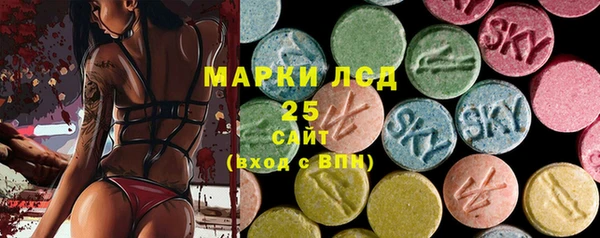 PSILOCYBIN Усинск