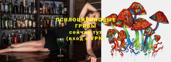 гидропоника Хадыженск