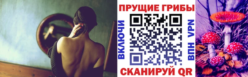 наркотики  Электросталь  Псилоцибиновые грибы Cubensis 