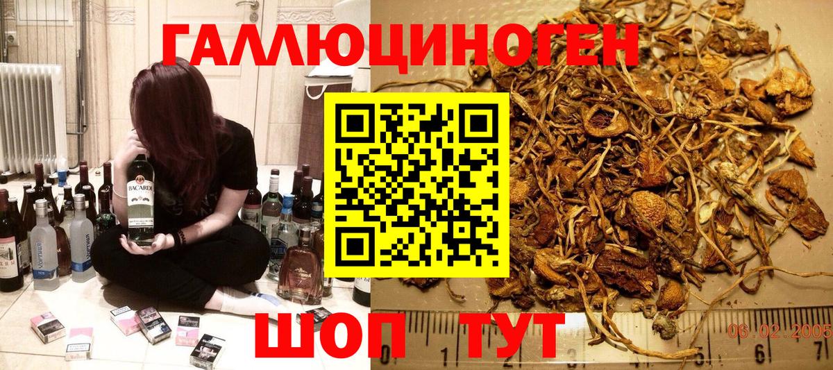 Галлюциногенные грибы Psilocybine cubensis  Вход с VPN  Электросталь  Псилоцибиновые грибы GOLDEN TEACHER 