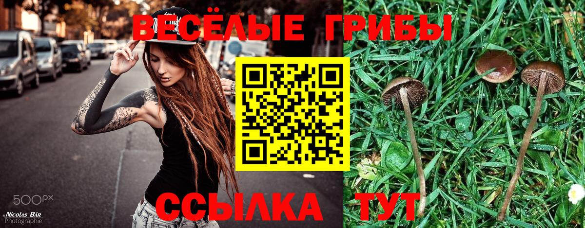 Псилоцибиновые грибы Cubensis Электросталь