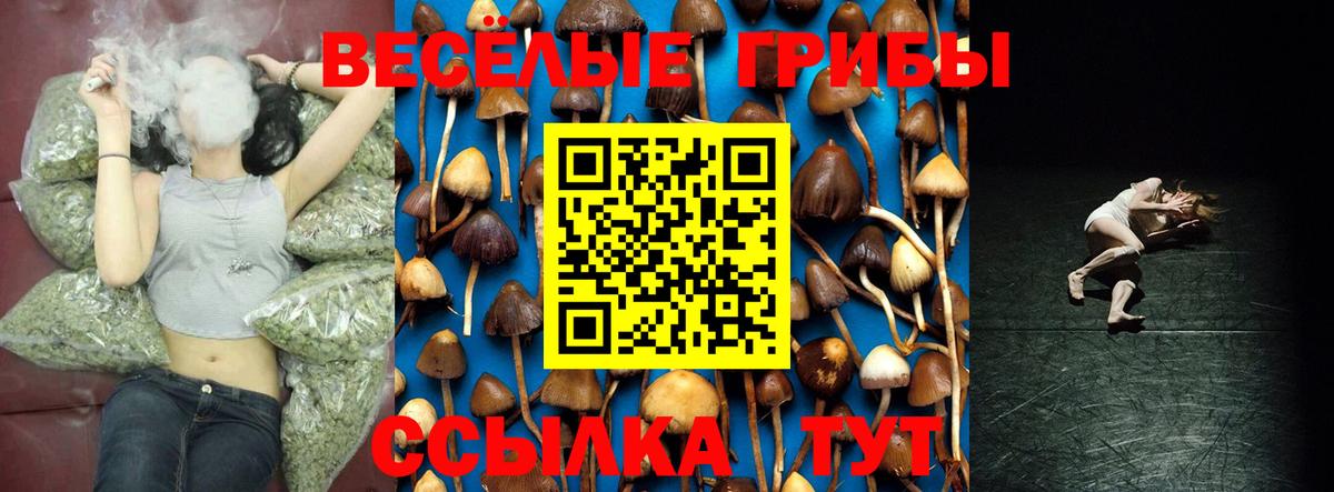 Галлюциногенные грибы Psilocybe  Электросталь 